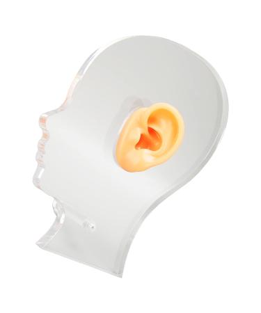 Ear Display Mold: Lifelike Silicone Ear Model with Acrylic Stand for Hospitals - Buy Online on GoSupps.com