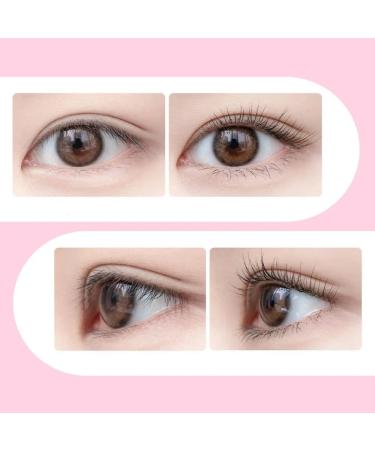 4 Color Woman Eyelash Curler Professional Eyelash Curler Folding False Eyelashe Auxiliary Eyelash Curling Clip Small Makeup Tool (Color : Dark Purple) - Buy Online on GoSupps.com