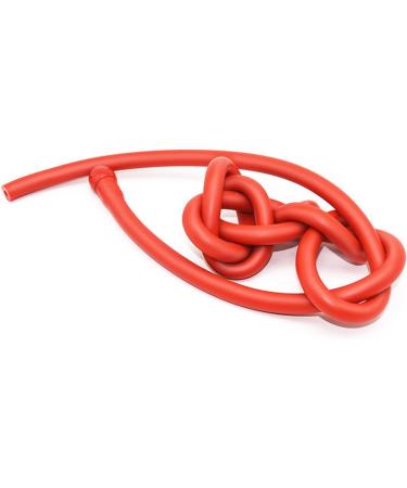 ZTHBysb Soft Silicone Vaginal Shower | 3 Adapter Enema Syringe Irrigator | 200cm Extra Long Cleaning Attachment for Men & Women - Red - Buy Online on GoSupps.com