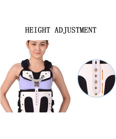 Dameco Lumbar Spine Orthosis - Breathable Thoracolumbal Bracket for Men & Women | Lightweight & Comfortable Support - Buy Online on GoSupps.com