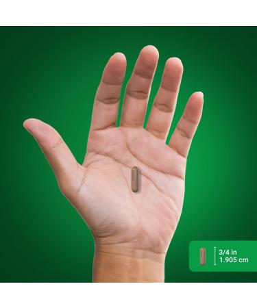 Piping Rock Ginkgo Biloba Supplements 120mg | 100 Capsules | Standardized Extract | Non-GMO Gluten Free - Buy Online on GoSupps.com