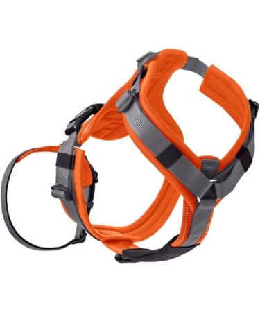 Safety Harness Maldon Orange/Grey - XS-S Size | Durable & Comfortable | Ideal for Outdoor Use - Buy Online on GoSupps.com