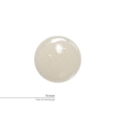 Aesop Coriander Seed Body Cleanser 500mL | Paraben-Free, Cruelty-Free & Vegan | 16.9 Fl Oz - Buy Online on GoSupps.com