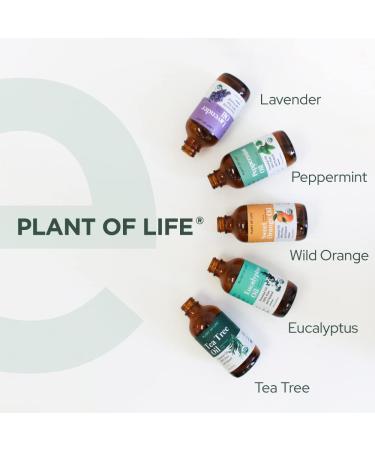 Plant of Life Essential Oil - 100% Pure and Natural - Therapeutic Grade Essential Oil with Dropper (Lavender 2 oz (60mL)) - Buy Online on GoSupps.com