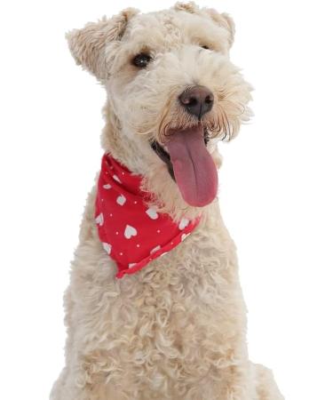 Lovejoys Hypoallergenic Complete Dry Adult Dog Food Turkey and Rice 2 kg Turkey and Rice 2 kg (Pack of 1) - Buy Online on GoSupps.com