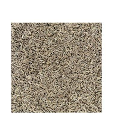 Cumin Seeds (1 LB)