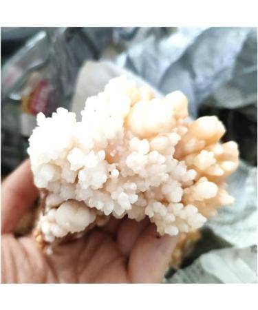 Rare Natural Raw Quartz Crystal Cluster Stones Crystal Point Specimen Home Decoration Raw Crystals Full of Texture (Size : 80-130g) - Buy Online on GoSupps.com