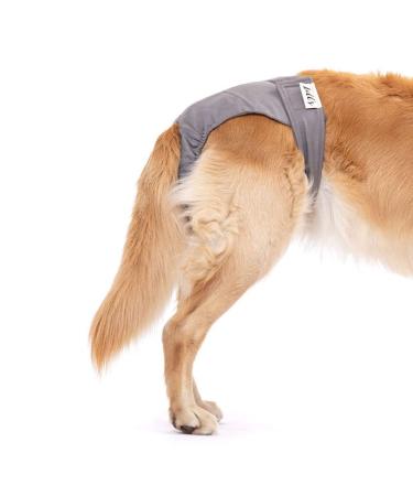 Lill's fuse pants for bitches with flexible closure washable organic cotton extra absorbent no extra insoles necessary from XS to XXL (XL: 63-90cm waist circumference stone gray (gray)) XL: 63-90cm waist circumference stone gray (gray)))