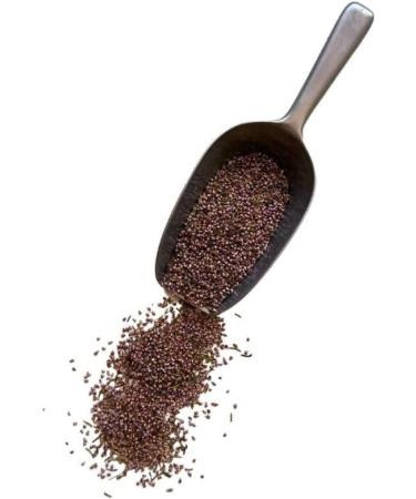  France Herboristerie France Herboristerie Calluna Vulgarise Heather Herbal Tea - Buy Online on GoSupps.com