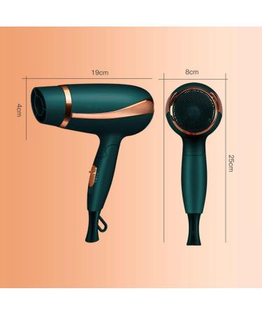 Hair Dryer Professional Ionic Hairdryer 2300W Salon Fast Blow Dryers 3 Heat 2 Speed Settings and Cool Shot Button Low Noise Powerful AC Motor with Hair Nozzle for Home and Salon Brown Small Gift Green - Buy Online on GoSupps.com