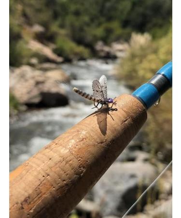 Synthfly Lifelike Mayfly Pack - Gray & Brown Drake in Sizes 10 12 14, Danica in Sizes 10 12 - Fly Fishing Essential Set of 8 Mayflies - Buy Online on GoSupps.com
