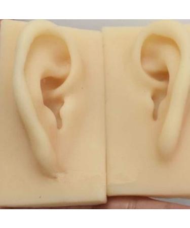 Human Ear Model Flexible Soft Silicone Imitation Real Ear Teaching Model -1 Pair Ear Mold Artificial Display Sample Educational Resources in Scienc - Buy Online on GoSupps.com