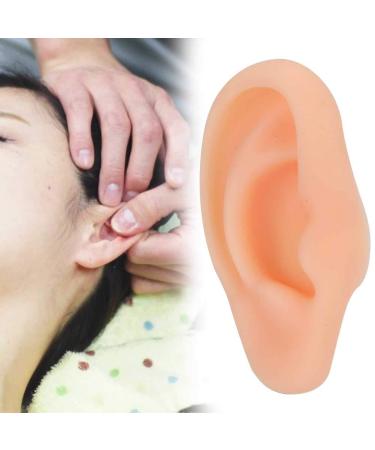 Ears Acupuncture Models - Silicone Soft Ear for Training (Right) - Buy Online on GoSupps.com