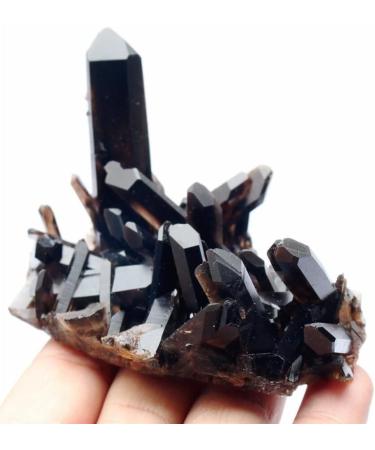 Crystal Rough 150g Beautiful Natural Clear Black Quartz Specimen - Buy Online on GoSupps.com