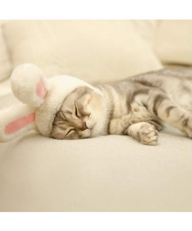 DIYDEC Cute Costume Bunny Rabbit Hat with Ears for Cats & Small Dogs Party Costume Easter Accessory Headwear(Pet Toys) grey - Buy Online on GoSupps.com