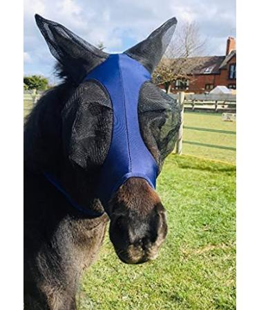 Ruggles Shetland Miniature Section A Pull On Fly Mask With Ears | Stretch Lycra | Horse & Pony Eye Protection (X-Mini Navy) X-Mini Navy