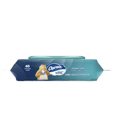 Charmin Freshmates Flushable Wipes Refillable Tub, 40ct (Pack of 6) - Buy Online on GoSupps.com