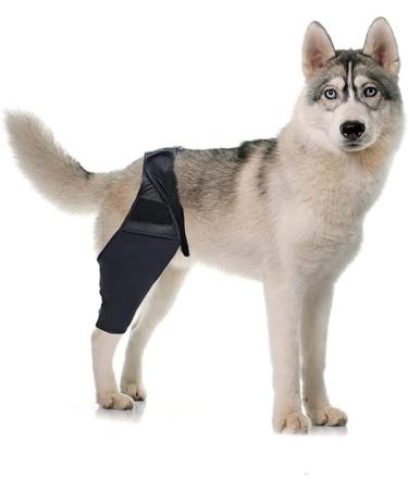 INOOMP Dog Leg Braces for Hindleg Dog Leg Knee Puppy Leg Cover Dog Knee Cover Pet Injury Knee Puppy Brace Leg Supplies Dog Foreleg Brace Dog Knee XL As Shown - Buy Online on GoSupps.com