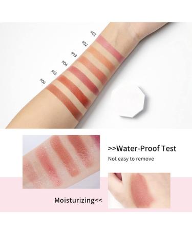 Allbesta Rouge Palette Blush - Peach Matte Powder Face Cheek Make-up (05#) | International Shipping Available - Buy Online on GoSupps.com