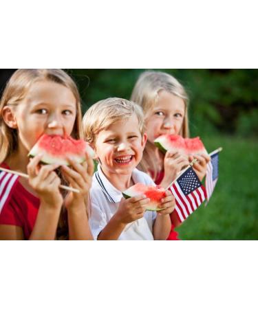 Carolina Soap Works Watermelon Scented Goat Milk Soap Bar (1 Pack) - All-Natural, Handmade in USA, Organic, Cruelty-Free - Artisanal Aloe Soap for Psoriasis, Eczema & Sensitive Skin - 5 Ounce Bar - Buy Online on GoSupps.com