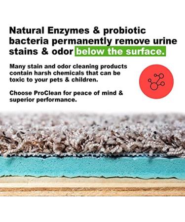 Urine Gone ProClean Stain Remover & Odor Eliminator - Probiotic Multi Surface Cleaner 20 Fl Oz (3 Pack) - Buy Online on GoSupps.com