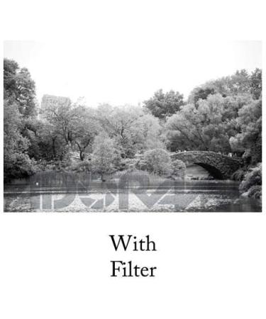 Tiffen 52mm Yellow 8 Filter - Enhance Your Photography with Vibrant Colors - Buy Online on GoSupps.com