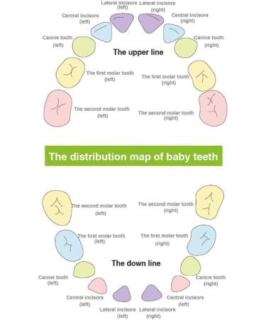 Baby Boy Wooden Tooth Fairy Keepsake Box - Kids Tooth Storage Organizer - Buy Online on GoSupps.com