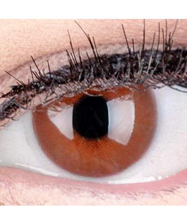 Jasmine Choco Brown Premium Contact Lenses - Soft 3-Month Wear 2-Pack -4.00 Diopters + Container | GlamLenses - Buy Online on GoSupps.com