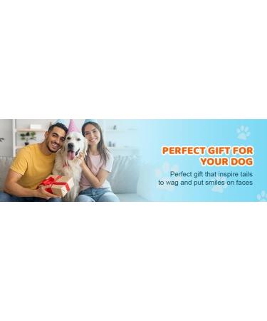 Petizer Squeaking Dog Toys - 3-Piece Rubber & Cotton Set for Small & Medium Dogs | Spiked Ball & Throwing Cubes for Boredom & Dental Care - Pink Red Yellow - Buy Online on GoSupps.com