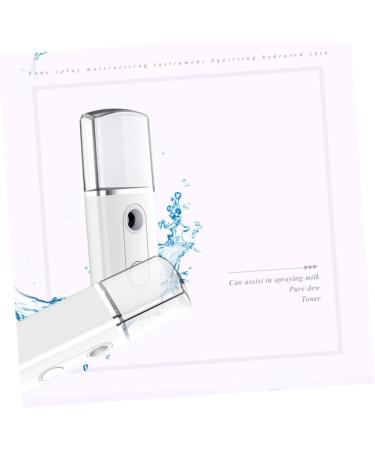 FOMIYES 3 Pcs Nano Facial Mister Steamer Mini Face Spray Device Sprayer Fashion L2 Spatula 10.7*3.7cmx3pcs Whitex3pcs - Buy Online on GoSupps.com