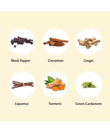 The Pahadi Story Turmeric Latte Mix 100gm 100% Natural Haldi Doodh Mix Immunity Booster Golden Milk Powder for Rainy and Winter Season - Buy Online on GoSupps.com