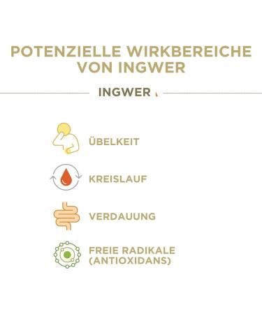 The Ginger People GIN GINS bonbons durs au gingembre double concentration de - Bonbons bons pour la sant emball s individuellement - Saveur de gingembre double concentration 150 g Double-Strength 150 g (Lot de 1) - Buy Online on GoSupps.com