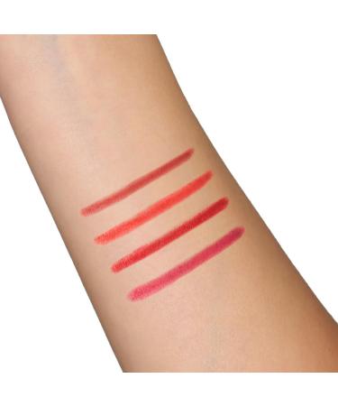  Viva la Diva Viva la Diva Fem-Power Lipliner Jumbo Color N2 Powerful Lipstick Large Size High Precision Long Lasting Formula - Buy Online on GoSupps.com