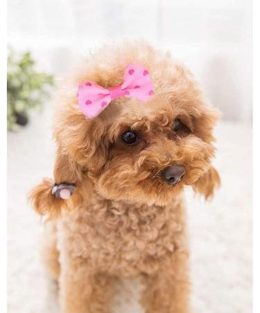 pengxiaomei 50 PCS Dog Hair Bows Pet Hair Bows Tie Puppy Rubber Bands Hair Grooming Accessories - Buy Online on GoSupps.com