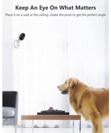 Imou 1080P Home Security Camera 2 Pack with Night Vision, 2-Way Audio, Human & Sound Detection | WiFi Indoor Camera Dog Cam | Works with Alexa | 2MP - Buy Online on GoSupps.com