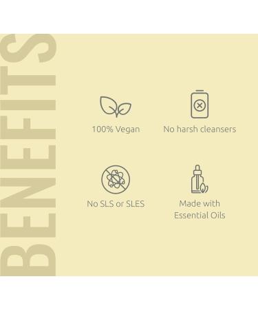 NatureWell Lemon Hand Soap - 100% Vegan, Essential Oils, No Dyes, Pack of 2 (17 Fl Oz) - Buy Online on GoSupps.com