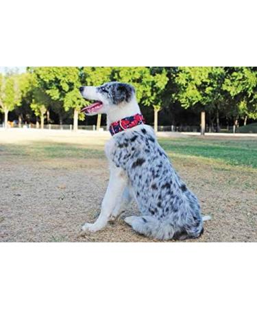 CandyPet Hundehalsband Martingale Obst Modell Gr e S (30-40 cm) | Hochwertiges Hundezubeh r f r internationale K ufer - Buy Online on GoSupps.com