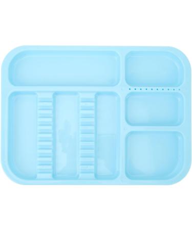Blue Plastic Shared Tray with Separate Holder for Organized Storage | Versatile for Oral Cosmetic & Surgical Instruments - International Shipping Available - Buy Online on GoSupps.com