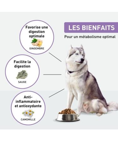 VetoNUT - Adult Dog Food - Large Breed - Sensitive Digestion - Animal Proteins - Developed with Veterinarians - Nutritional Balance - 4 kg Bag - Buy Online on GoSupps.com