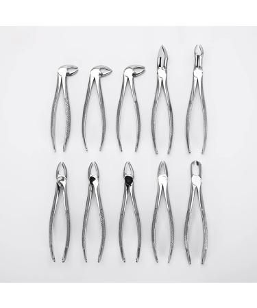 Mzlaly Dance Suit for Children | Stainless Steel Dental Extraction Instruments - 10 Piece Kit for Adults | Durable Dental Tongs in Silver - Buy Online on GoSupps.com