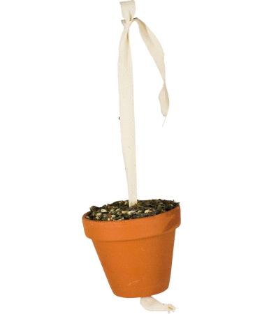JR FARM Birds Clay Pot Large Parakeet & Parrot 260 g