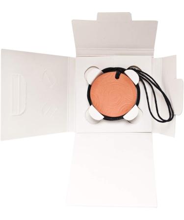 Buy Ten Leaves Terracotta Clay Diffuser Pendant for Essential Oils - Hand-made Kiln-fired Pine Star - Pack of 2 | International Shipping Available - Buy Online on GoSupps.com