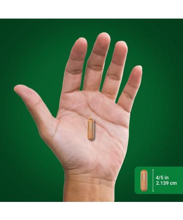 Piping Rock Turmeric & Tart Cherry Capsules 1500mg | 120 Capsules w/Black Pepper Extract | Advanced Complex Supplement - Buy Online on GoSupps.com