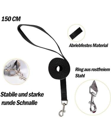 Shop Curli Dog Harness & Dishes for Small Dogs | Leash & Tableware for Puppies - Bright & Stylish - Buy Online on GoSupps.com