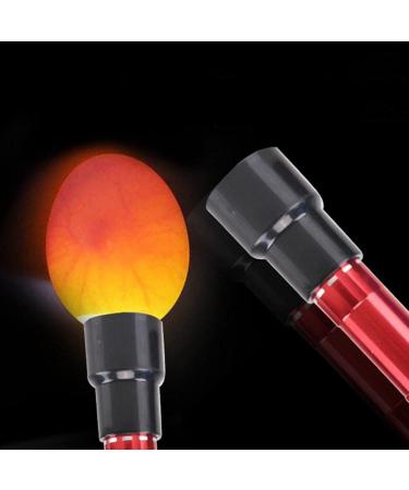 Testeur D'oufs LED 1pc 9 Oufs LED Chandeuse pour La Surveillance De L'incubateur D'oufs Cro te De Poulet Coucher D'incubation De Poulet Outil De Poulet (Couleur Al atoire) - Buy Online on GoSupps.com