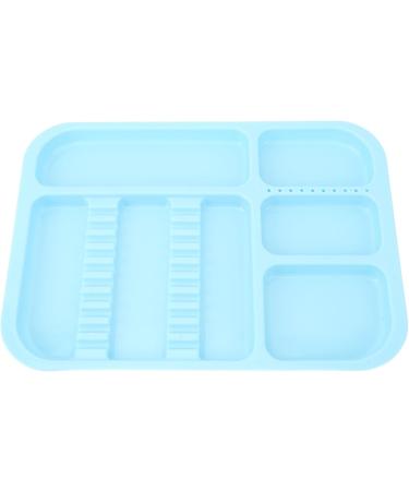 Blue Plastic Shared Tray with Separate Holder for Organized Storage | Versatile for Oral Cosmetic & Surgical Instruments - International Shipping Available - Buy Online on GoSupps.com