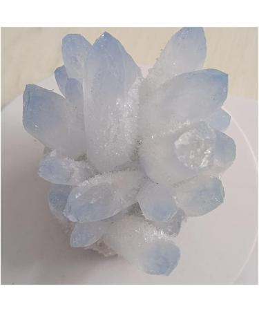 Blue Ghost Phantom Quartz Crystal Cluster Specimen kaixun (Size : 401-500g) - Buy Online on GoSupps.com