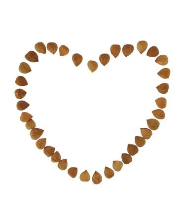 Organic Raw Bitter Apricot Kernels 16oz - USDA Certified, 1LB Bitter Apricot Seeds - Buy Online on GoSupps.com