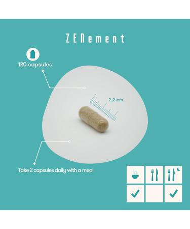 Zenement Hair Nails & Skin Complex with Biotin - 120 Capsules | For Hair Loss & Weak Skin/Nails | Vegan & Non-GMO | Vitamins, Minerals - Buy Online on GoSupps.com