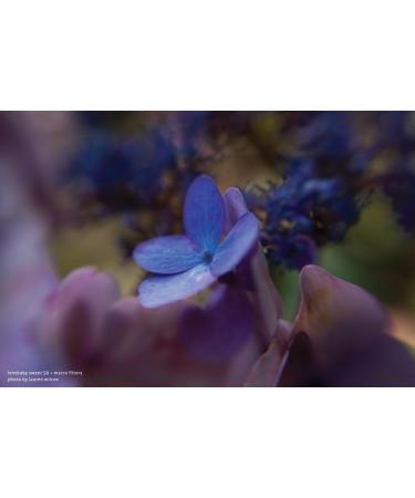 Lensbaby 46mm Macro Filter Kit - Explore Close-Up Photography - Buy Online on GoSupps.com